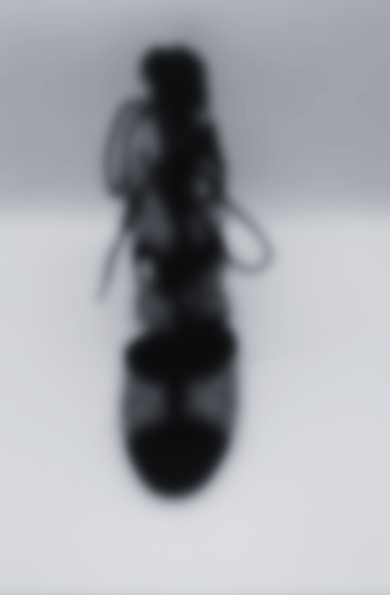 COMING SOON! The Stella